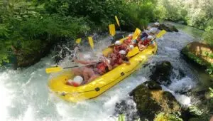 Cetina 4