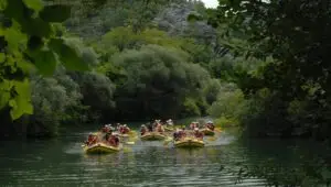 Cetina 6