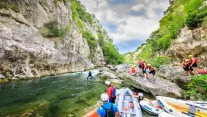 Cetina 8